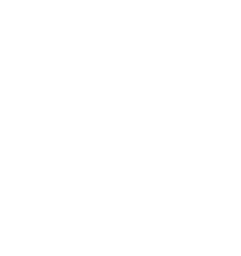 Andela logo