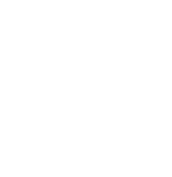Patina Systems logo