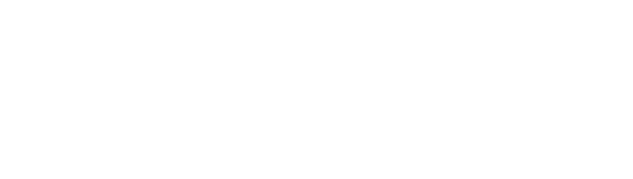 Ravelin logo