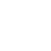 Wingman logo