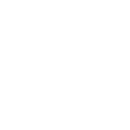 Cyera logo