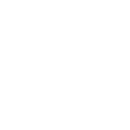 Delphina logo