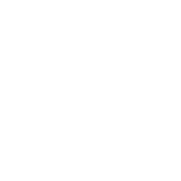 Discovery Loop logo