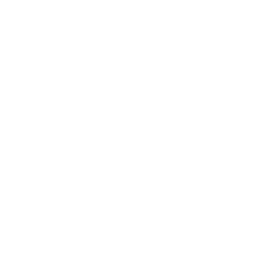 Emerald AI logo