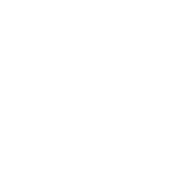 Periodic Labs logo