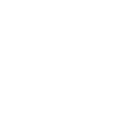 Prime Intellect logo
