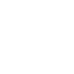 Promise Robotics logo