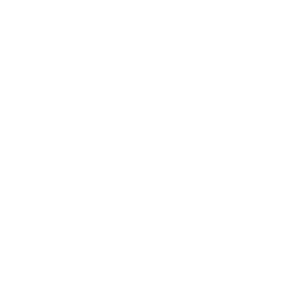 Ricursive Intelligence logo
