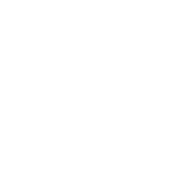 Serval logo