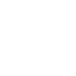 Slingshot AI logo