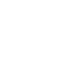 Solver logo