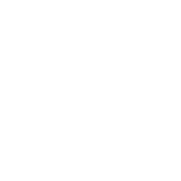 Vizcom logo