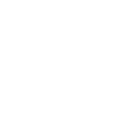 V7 logo