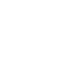 World Labs logo